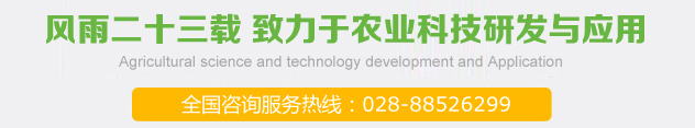 成功案例